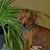 Karen Fisher's profile image