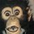 Jose Rivera's profile image