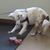 Lenore Pawlowski's profile image