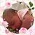 Nancy Long's profile image