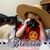 Ann Mungavan Kushner's profile image