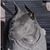 Deborah Lambert's profile image