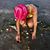 Deanna Cahill's profile image