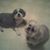 Betty Cox-Blevins's profile image