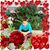 Karen Eggleston Pittard's profile image