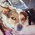 Barbara Jones's profile image