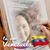 Obra Misionera Medica's profile image