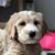 Nancy Fiegen's profile image