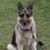 Norma Standley's profile image