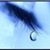 Shanon Marie's profile image