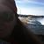 Suzy Chaney's profile image