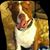 Diana Bowers's profile image