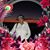 Luis Oceguera's profile image