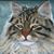 Robert Brown's profile image
