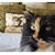 Sharyn Curtis's profile image