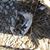 Kimberly Dawn Callor's profile image
