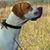 Kim Blankenship Yocklin's profile image