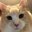 Stephen Ritzel's profile image