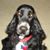 Linda Johnson's profile image