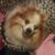 Clyde Haley's profile image