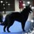Sherri Wilmoth Swabb's profile image