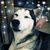 Tina Laha's profile image