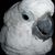 Don Ratz's profile image