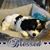Holly Ingalls's profile image