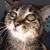 Jeff Crampton's profile image