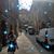 Laura Volpe Reuther's profile image