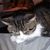 Maggie Harder's profile image