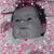 D LC Davis's profile image