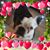 Tara Jo McElhenny's profile image