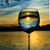 Lisa Spies's profile image
