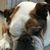 Sara Goede Mekuly's profile image