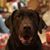 Carey Rhoades Jewell's profile image