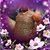 Diana Sawyer Robinson's profile image