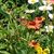 Linda Smith's profile image