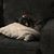 Mindy Carroll's profile image