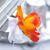 Cynthia B. Figaro's profile image