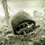 Nicholas Miller's profile image