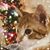 Erin Scanlan's profile image