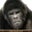 Steve N Leci Paris's profile image