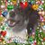 Crystal Massey Manget's profile image