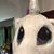 Linda Revis's profile image