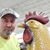 Scott Taylor's profile image