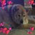 Maria Teresa Rivera-lomanta's profile image