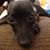 Linda Paxton Weir's profile image