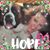AnnMarie Smith's profile image