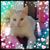 Margrit Aeschbach's profile image